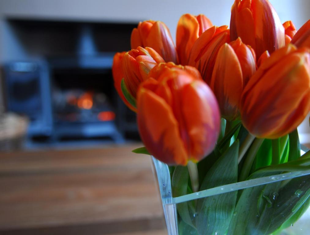 The Bijou Hotel Harrogate Ngoại thất bức ảnh